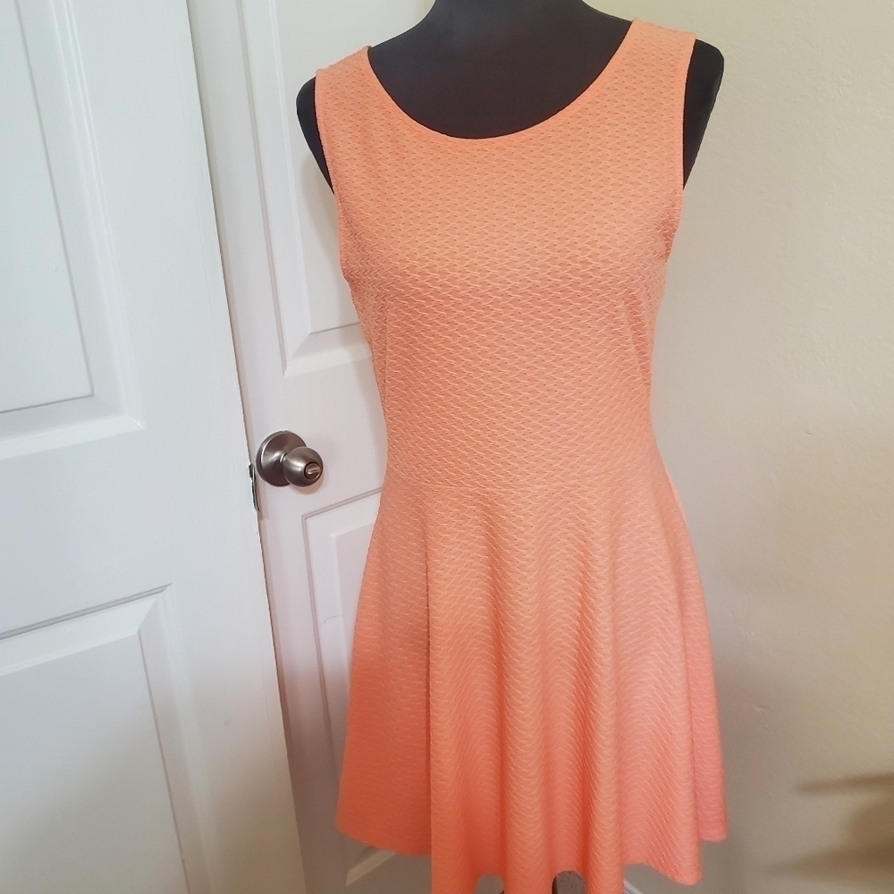 Coral pink fit and flare H&M dress size L